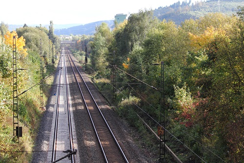 Railroad tracks through forest by teka77 123RF Stock Photo