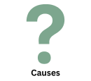 Causes