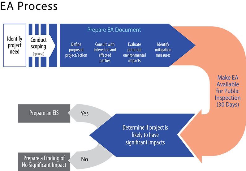 EA Process Workflow