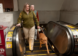 Federal Transit Administration Issues Guidance to Public Transportation Agencies on Implementing Americans with Disabilities Act