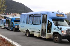 Stika Tribal bus
